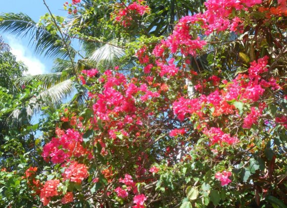 Ferienhaus - Casa Monika - Foto 1